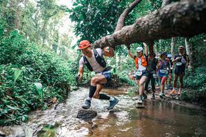 BIB: 
                            <button type="button" onclick="openModal(25369787)" class="btn btn-primary btn-sm float-right btn-popup" data-toggle="modal" data-target=".modal-high-quality">
                        <i class="fas fa-shopping-cart"></i> Add to Cart
                    </button>
                                            <button type="button" onclick="isThisMe(25369787, true)" class="btn btn-success btn-sm float-right btn-popup btn-isme hidden" data-toggle="tooltip" data-placement="bottom" title="นี่คือรูปของคุณใช่ไหม คลิกที่นี่เพื่อเอาเข้าอัลบั้ม">
                        <i class="fas fa-plus"></i> Add to album
                    </button>
                    <button type="button" onclick="isThisMe(25369787, false)" class="btn btn-warning btn-sm float-right btn-popup btn-isnotme hidden">
                        <i class="fas fa-ban"></i> Remove from album
                    </button>